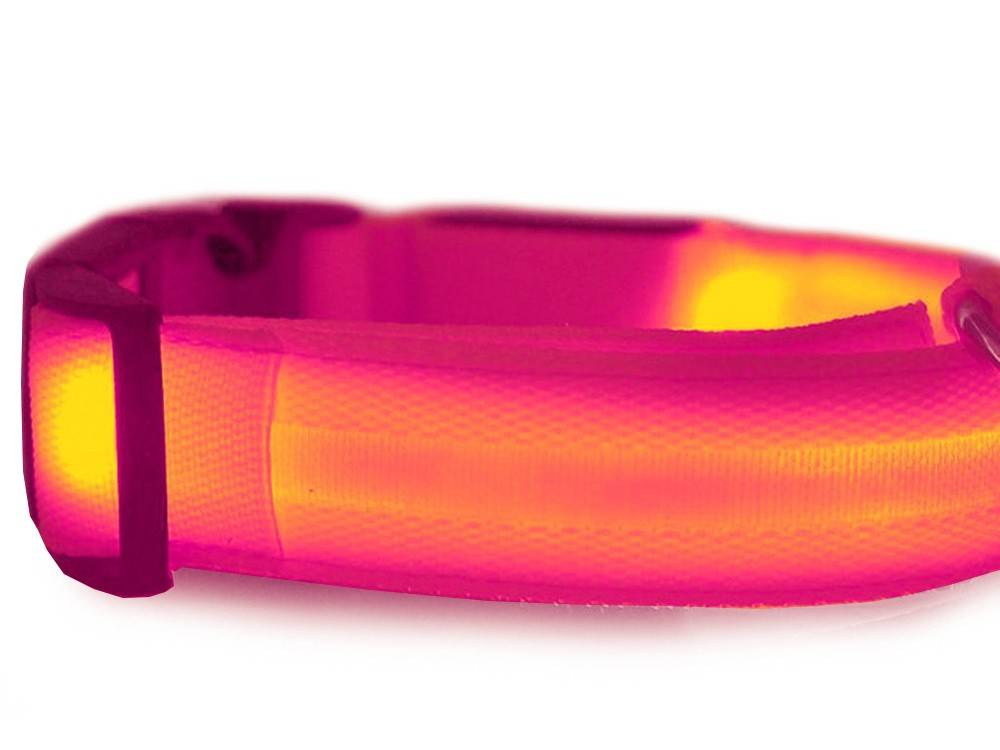 Collier d'éclairage led pour chiens et chats adjustable 59cm - Image 5