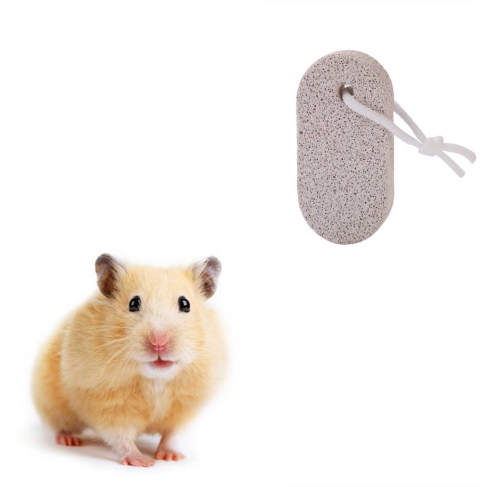 IntiMeg - Pierre dentaire pour petits animaux IntiMeg