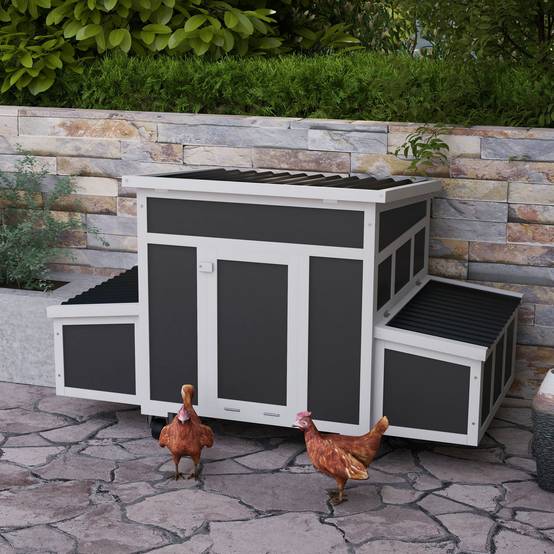 Poulailler bois extérieur avec pondoir double toit ouvrant 147x93.5x89.5cm gris - ComfortXL Outdoor Living - Image 4