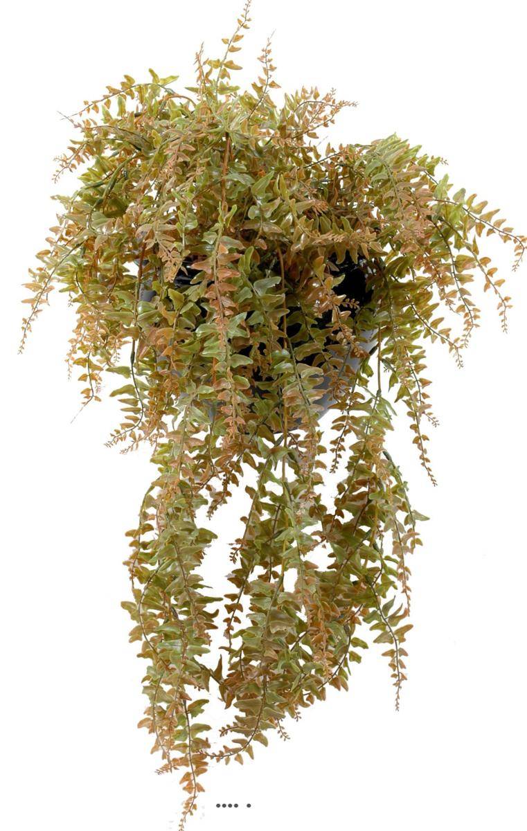 Artificielles - Fougère des forêts 90cm factice plastique 186 feuilles ext. en piquet - Imagen 1