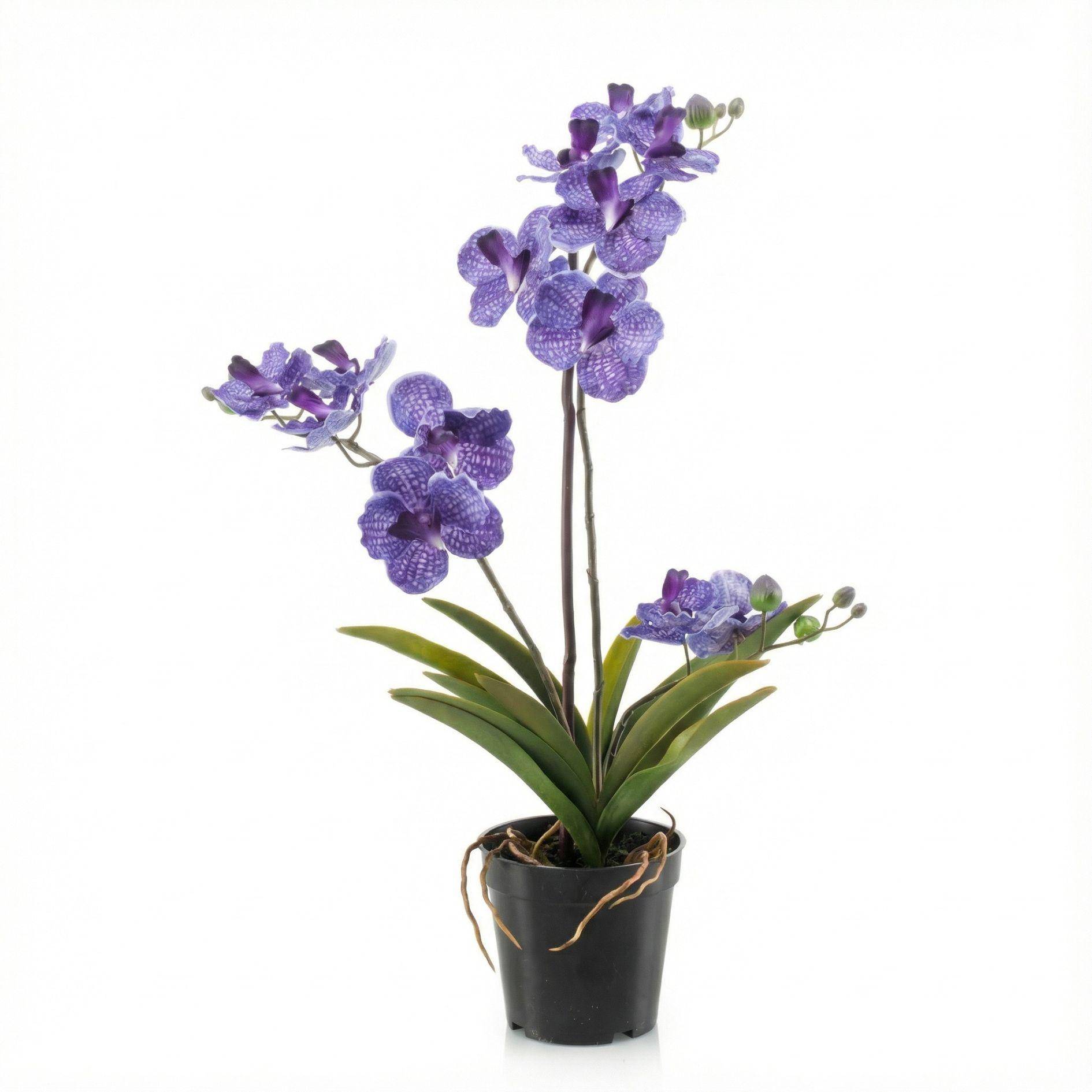 Orchidée Vanda 60 cm - violet - Ø10cm - Plante artificielle - Image 2