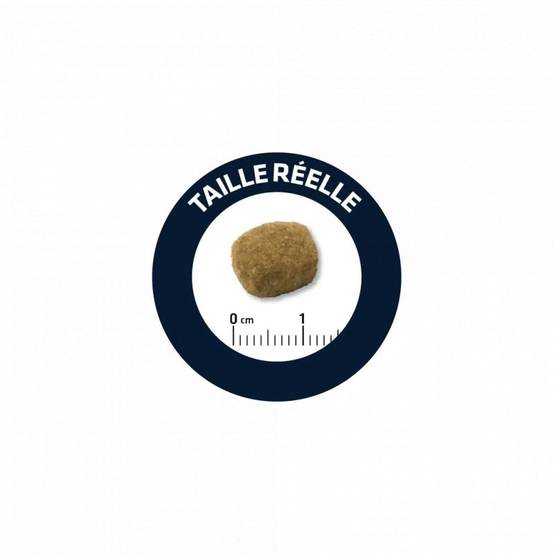 CROQUETTES CHIEN LIGHT MEDIUM - ADVANCE 3 kg - Image 2