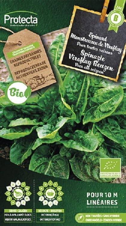 Protecta - Semence Epinard monstrueux de Viroflay BIO