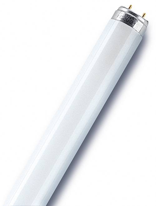 Osram - Tube fluorescent droit T8 opaque 950 Lm  70 W blanc, OSRAM OSRAM - Imagen 1