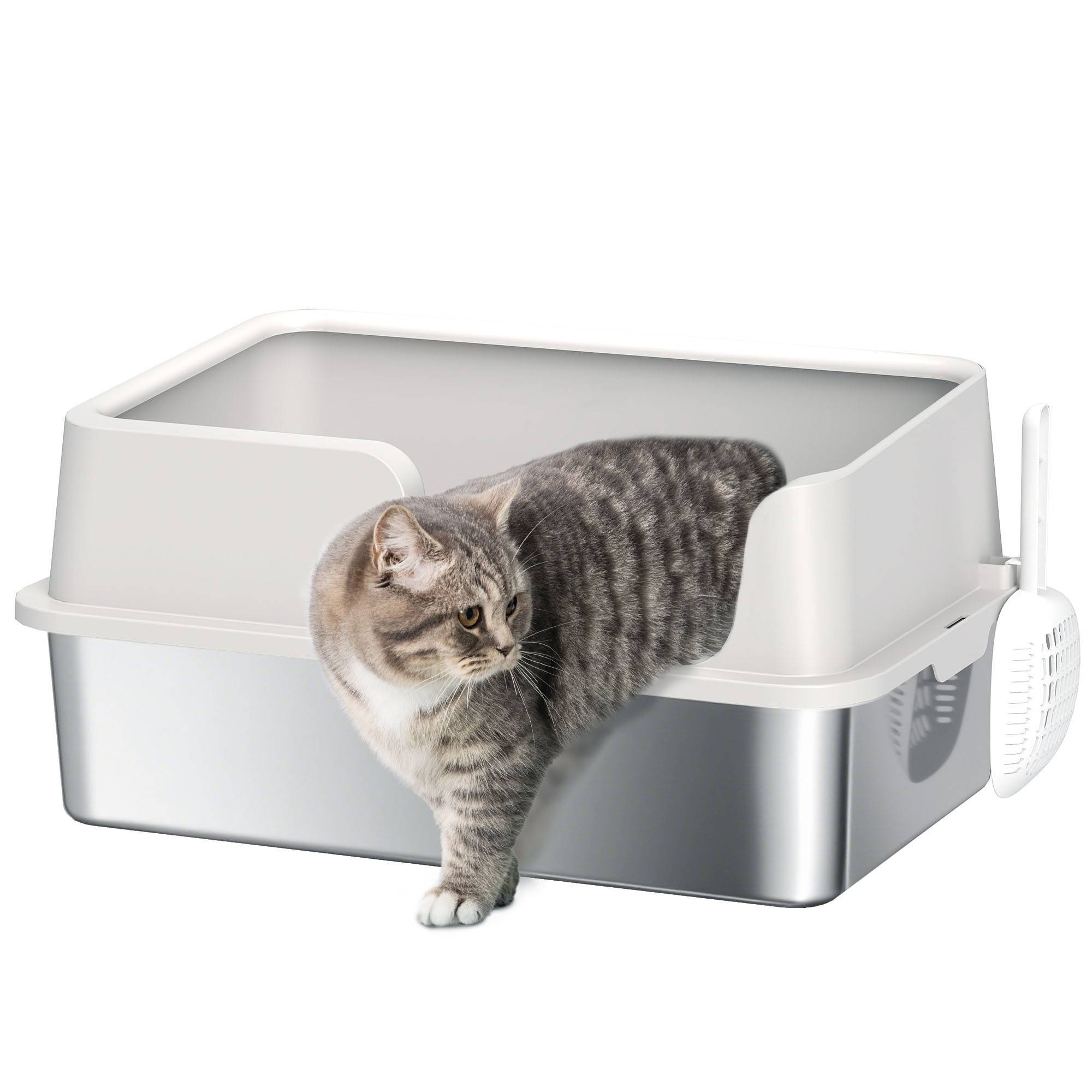 Litière chat acier inoxydable XL bac grands bords hauts pelle gris clair - Image 1