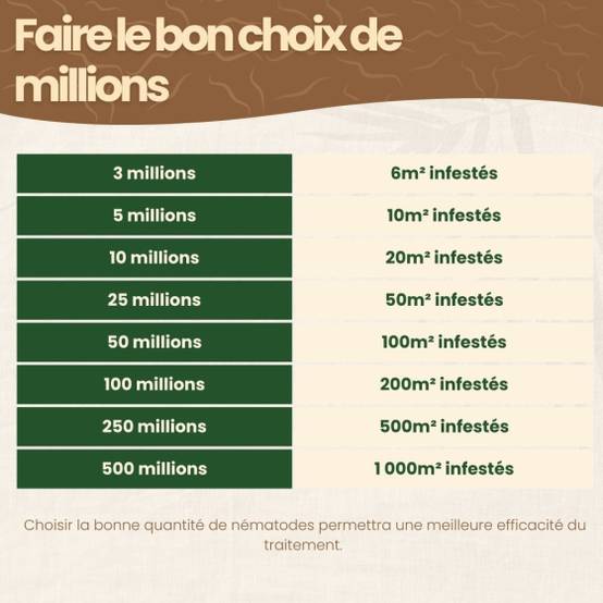 JOHN & CO Nématodes HB 250 Millions – Lutte Bio Contre Vers Blancs, Hannetons & Otiorhynques – 500 M²