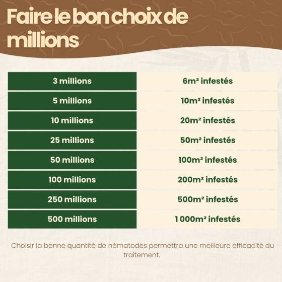 JOHN & CO Nématodes HB 250 Millions – Lutte Bio Contre Vers Blancs, Hannetons & Otiorhynques – 500 M²