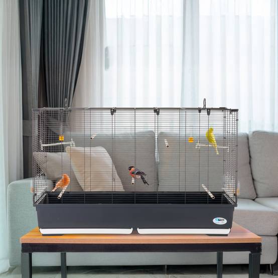 Ferplast - Ferplast Volière Cage à Oiseaux PIANO 8 Grande Cage pour Oiseaux, Canaris, Pinsons, Perruches Ondulées, Inséparables, en Métal, Accessoires inclus - Image 2