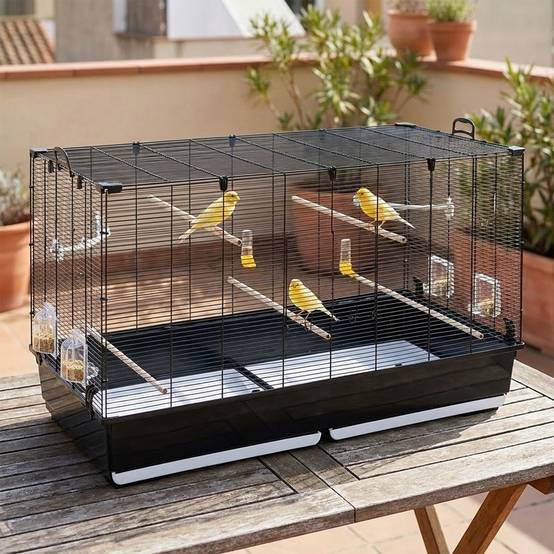 Ferplast - Ferplast Volière Cage à Oiseaux PIANO 8 Grande Cage pour Oiseaux, Canaris, Pinsons, Perruches Ondulées, Inséparables, en Métal, Accessoires inclus - Imagen 3