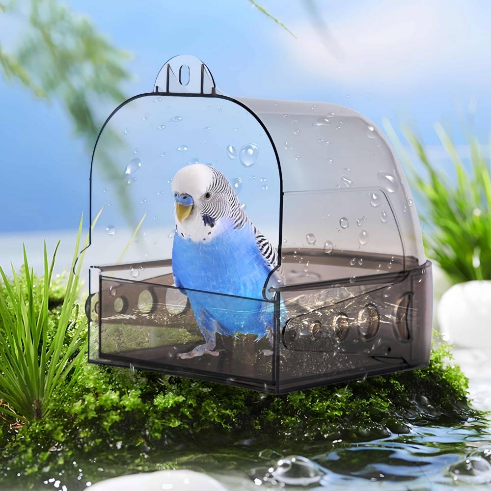IntiMeg - Bain d'oiseaux polyvalent IntiMeg - Image 8