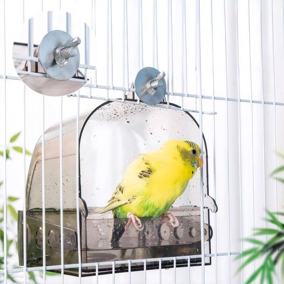 IntiMeg - Bain d'oiseaux polyvalent IntiMeg - Image 1