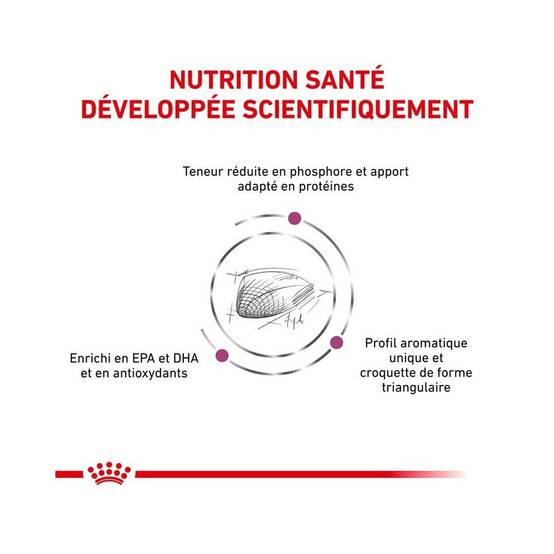 Royal Canin - Croquettes chat VETERINARY CAT RENAL SPECIAL - Royal Canin 4 kg - Image 8