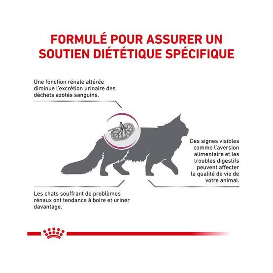 Royal Canin - Croquettes chat VETERINARY CAT RENAL SPECIAL - Royal Canin 4 kg - Image 3
