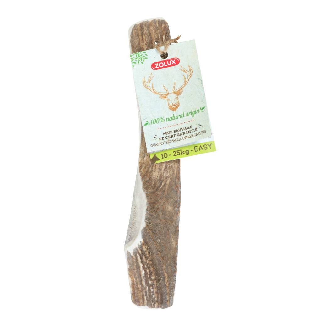 Zolux - zolux - Bois de Cerf biseauté M Friandise à macher pour chien - Imagen 2