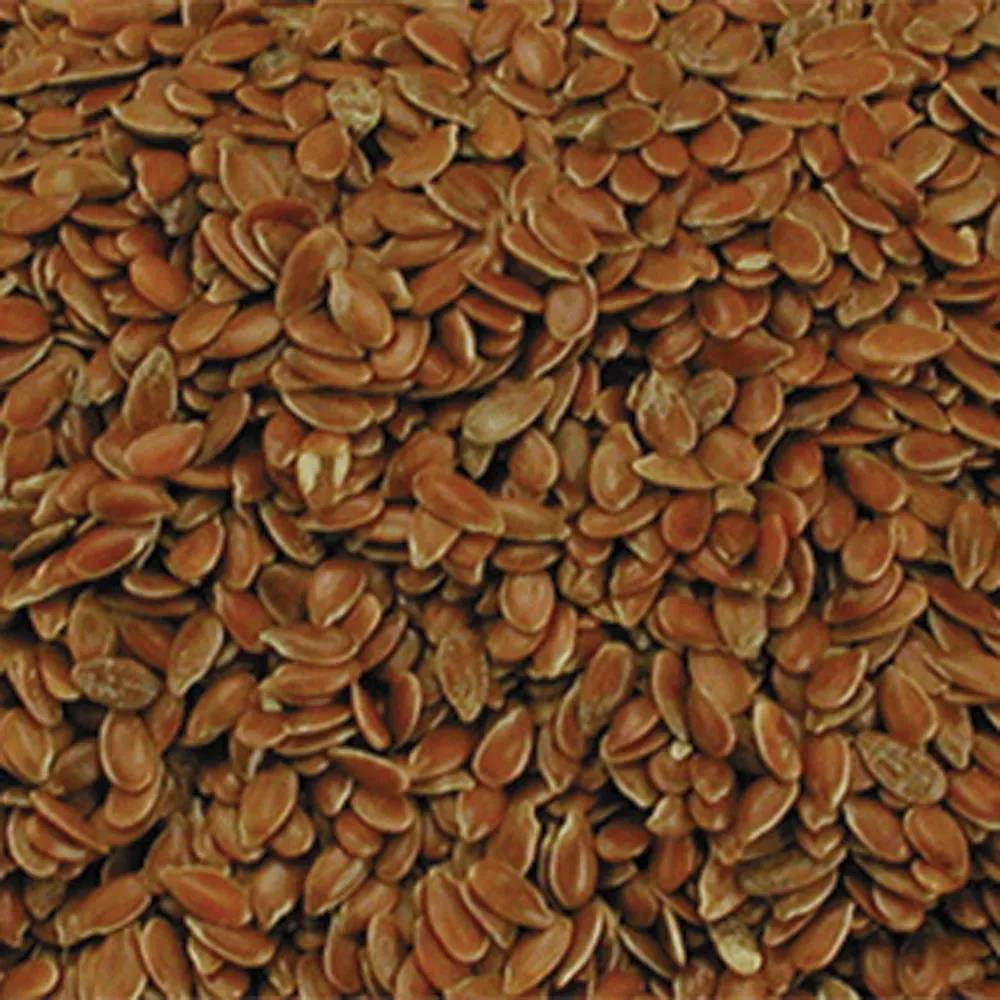 Graines de lin VADIGRAN dépoussiérées 20kg - Image 3