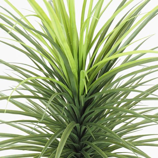 Ligne Deco - Dracena artificiel 120cm - Image 4