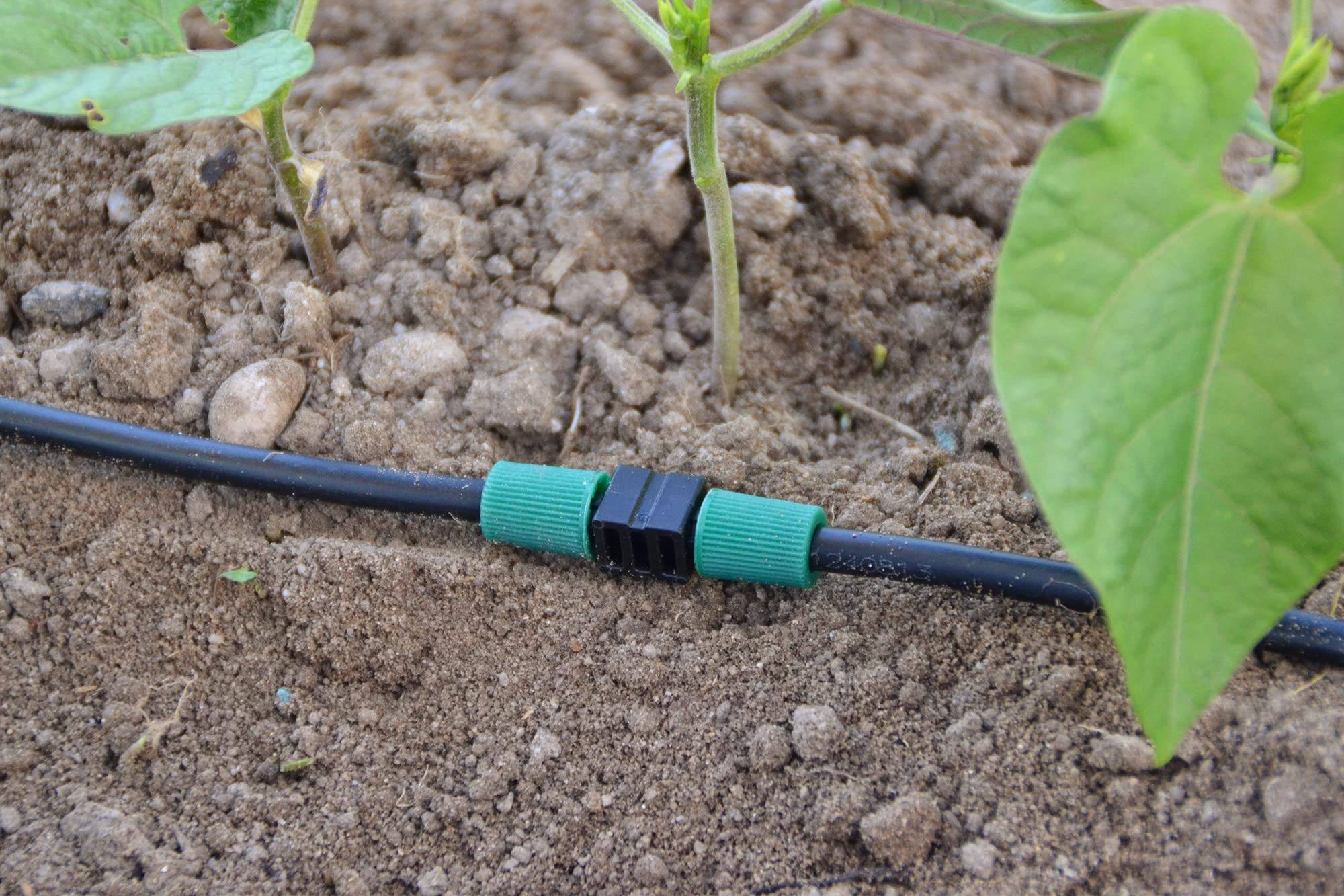 Jardibric - Jardibric - Raccord Irrigation Ø6 mm Lot de 10 - 5 Jonctions + 5 Bouchons Micro-Irrigation pour Tuyau Goutte à Goutte - Image 2