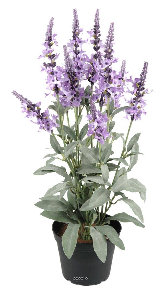 Artificielles - Véronique artificielles avec feuillage en pot, H 46 cm Lavande - couleur: Lavande - Imagen 1
