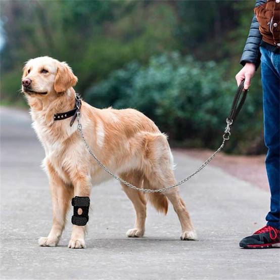 DtopbuyAge - 2 genouillères pour chien taille M DtopbuyAge - Image 3