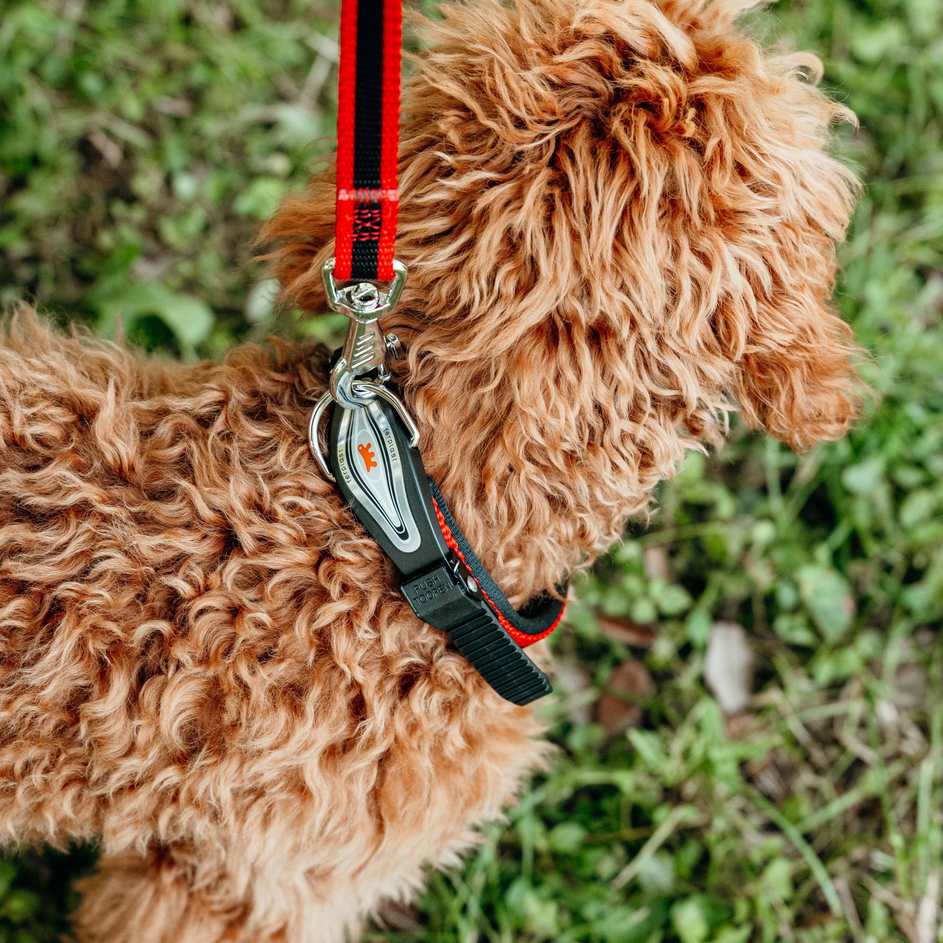 Ferplast - Ferplast Collier Chien ERGOCOMFORT C15/33 Collier pour chien de taille moyenne, fermeture avec micro-ajustement, rembourrage doux, dégagement rapide, - Imagen 4