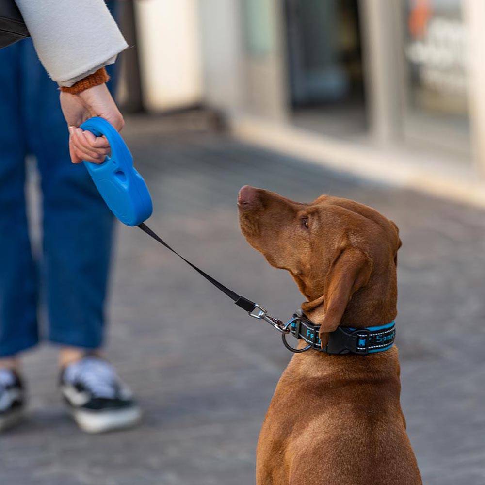 Ferplast - Ferplast Laisse Chien Enrouleur FLIPPY ONE, Laisse pour Chiens de Taille Moyenne jusqu'à 25 Kg. Sangle Extensible max 5 m. Bouton unique pour - Imagen 5