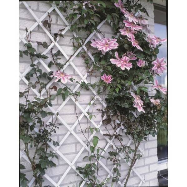 Nature - Treillis extensible plastique blanc - 50x150cm