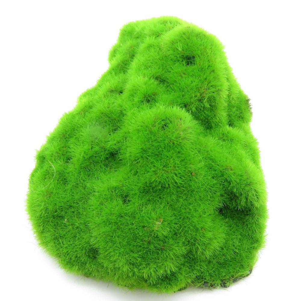 lot de 3 Galets ki pouss, 6.7 x 9.4 x 3 cm décoration aquarium - Image 3