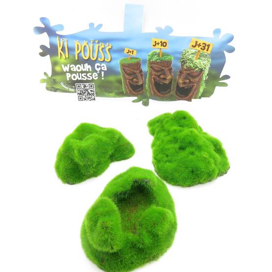 lot de 3 Galets ki pouss, 6.7 x 9.4 x 3 cm décoration aquarium - Image 1