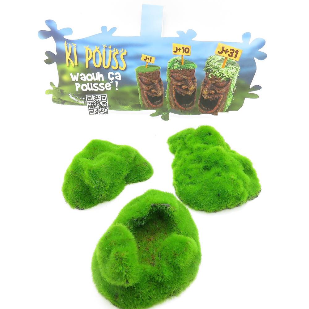 lot de 3 Galets ki pouss, 6.7 x 9.4 x 3 cm décoration aquarium - Image 1