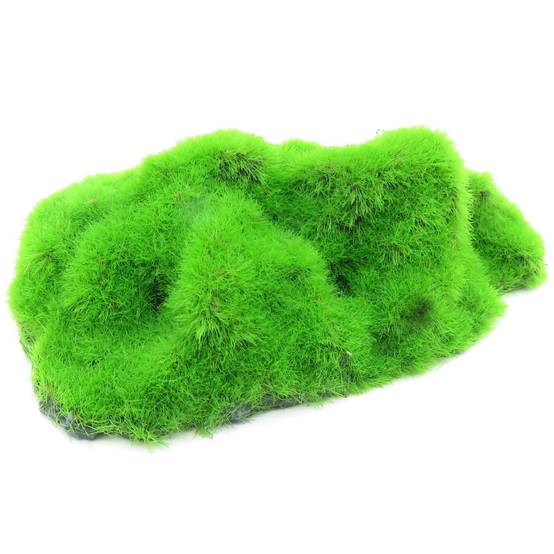 lot de 3 Galets ki pouss, 6.7 x 9.4 x 3 cm décoration aquarium - Image 2