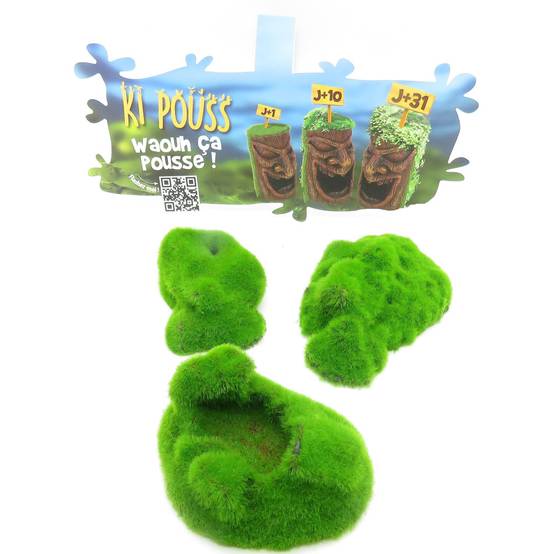 lot de 3 Galets ki pouss, 6.7 x 9.4 x 3 cm décoration aquarium - Image 6