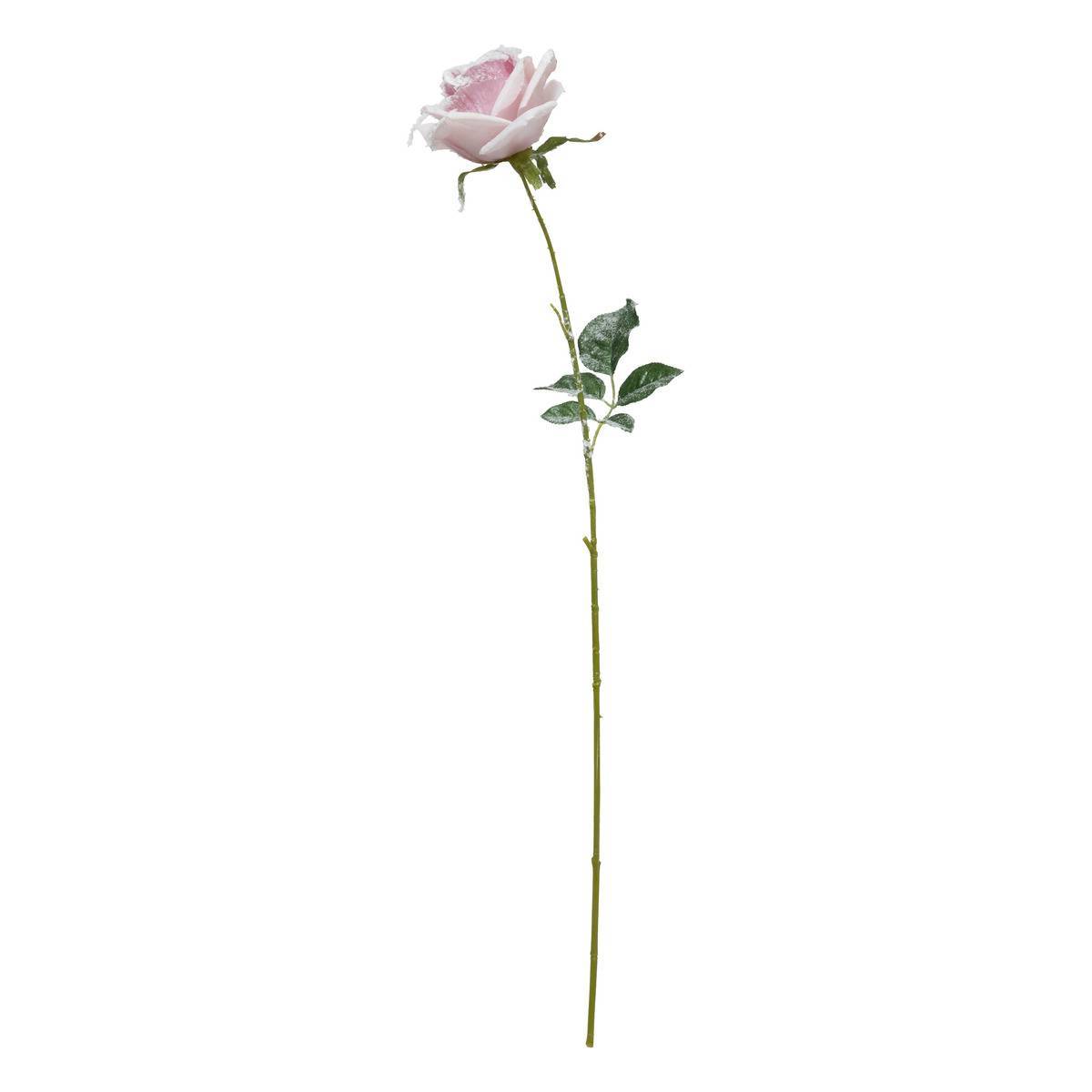 Fééric Lights & Christmas - Branche rose rose enneigée H62 - Atmosphera Créateur d'intérieur - Imagen 1