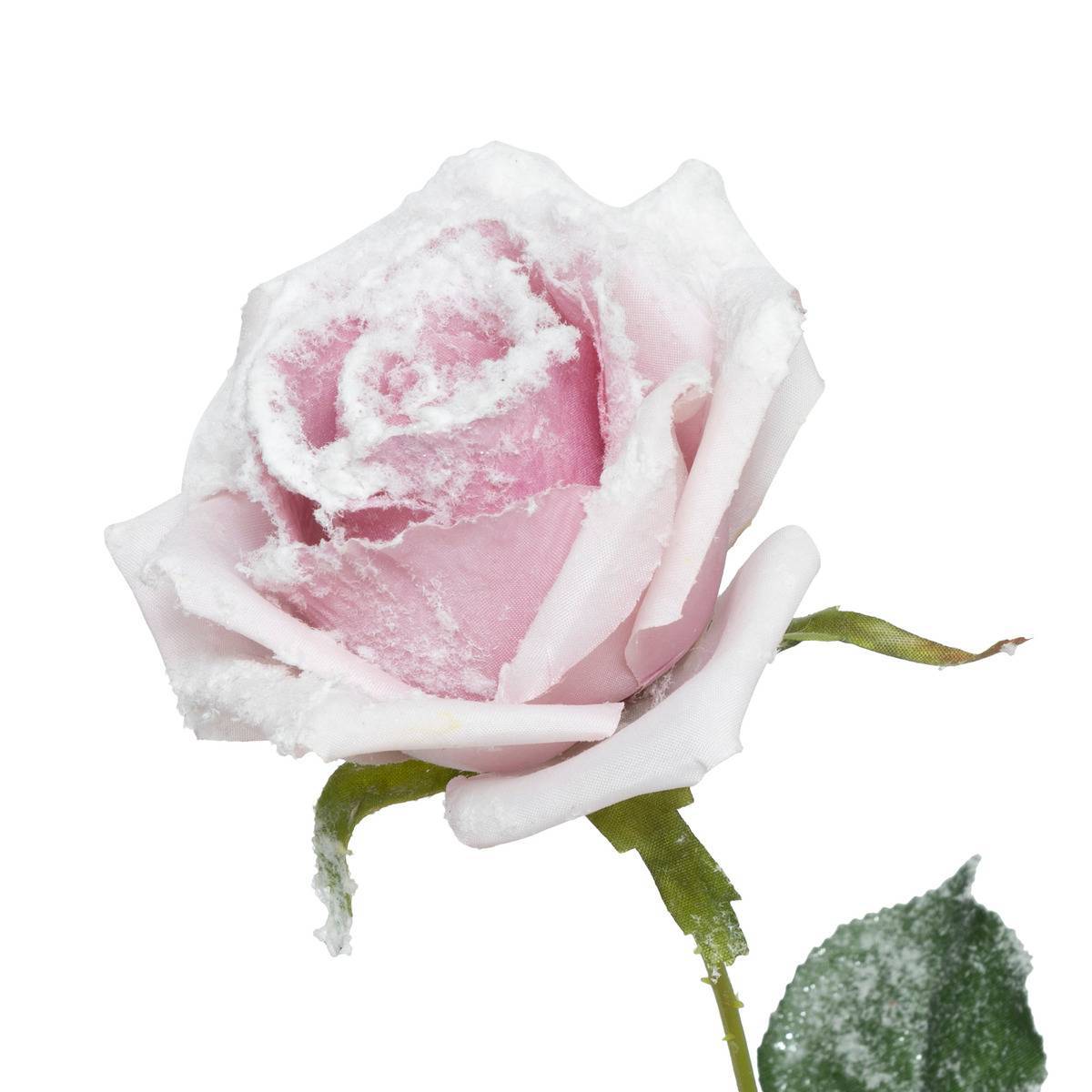 Fééric Lights & Christmas - Branche rose rose enneigée H62 - Atmosphera Créateur d'intérieur - Imagen 2