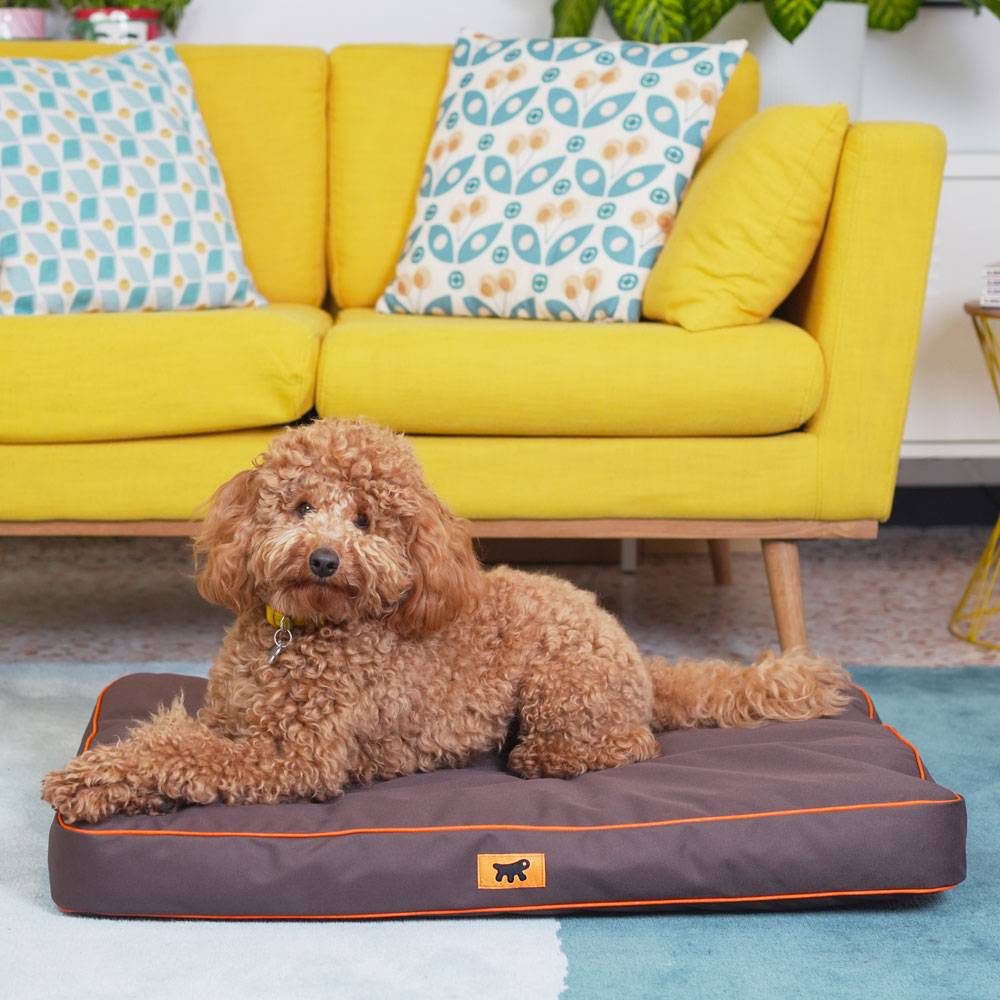 Ferplast - FERPLAST Panier Chien Chat - Coussin Orthopédique Chien - Lavable en Machine - Tapis Chien - Lit Chat Chien - Imperméable & Anti-Rayures - Rembourrage - Imagen 3