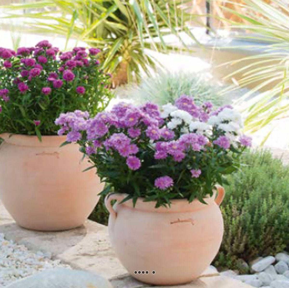 Artificielles - Poterie antique boule avec anses en terre cuite H 32 cm Terre cuite - dimhaut: H 32 cm - couleur: Terre cuite - Imagen 3