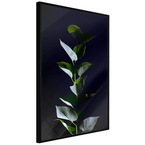 Affiche Murale Encadrée "Floral Elegance" 30 x 42 cm Noir