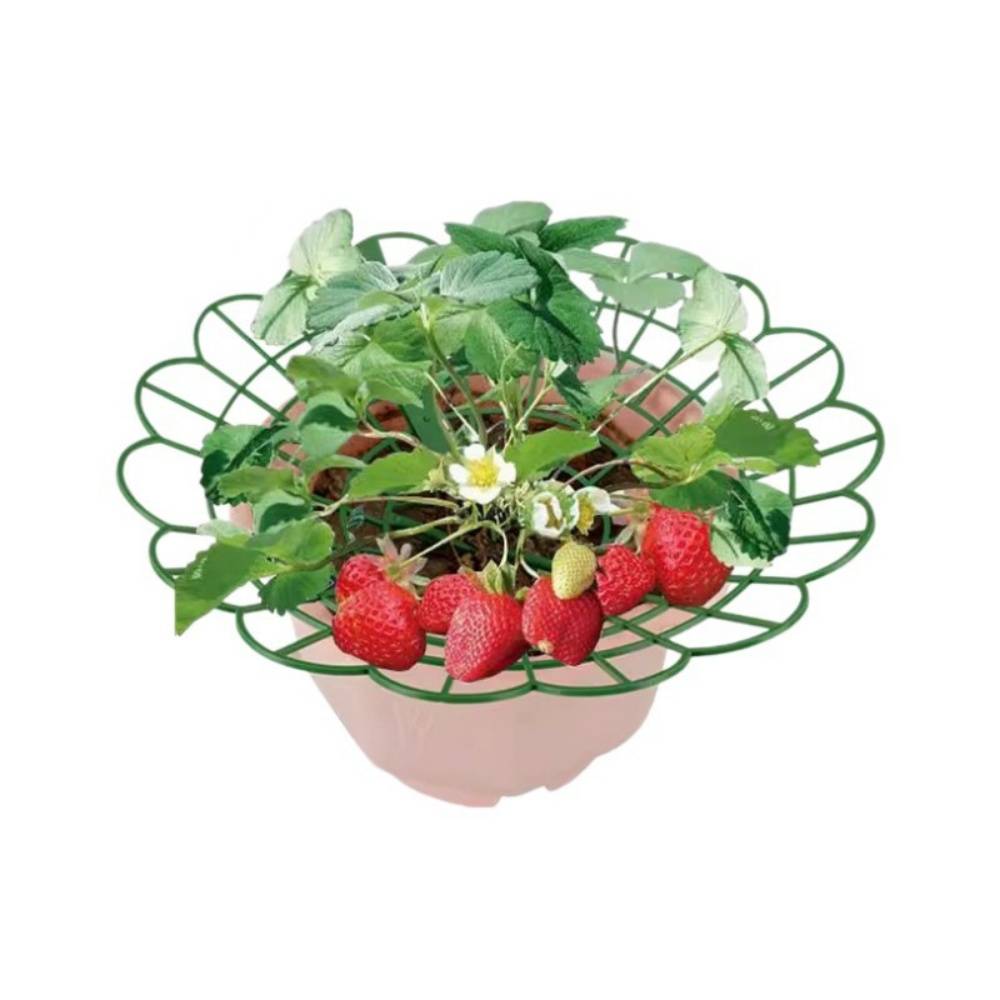 Lot de 10 supports pour fraises - Anti-pourriture & surélévation - Plastique résistant UV - Living123 - Image 6