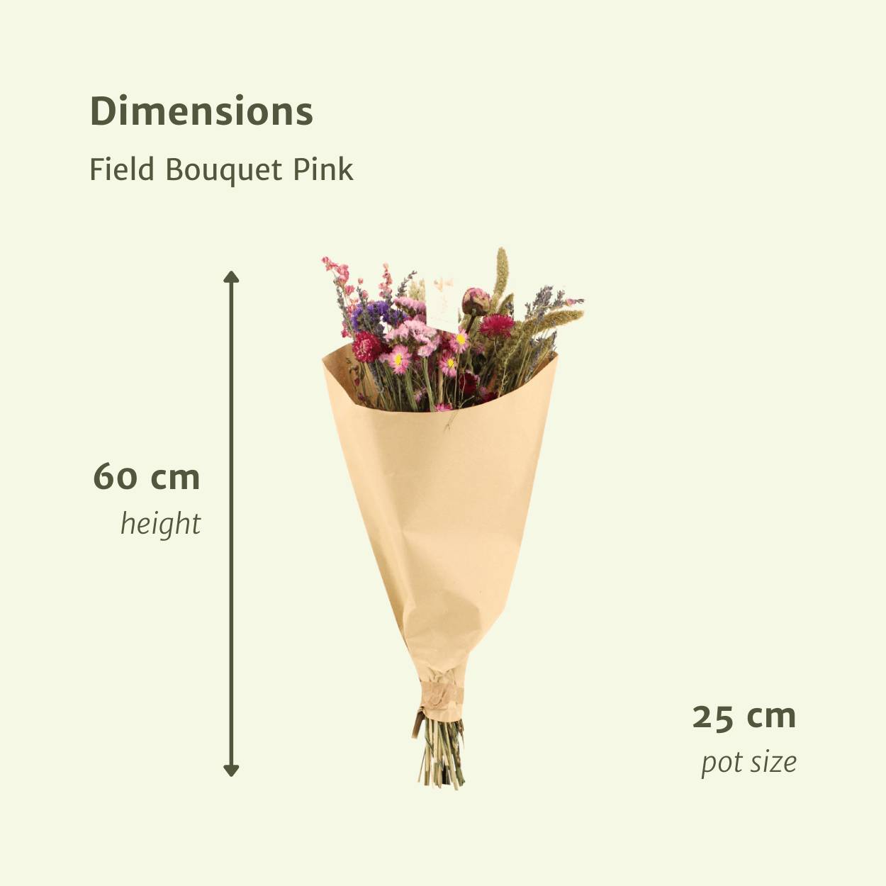 PANGIVO - Bouquet de fleurs séchées rose 25 x 25 x 60 cm - PANGIVO - Image 2