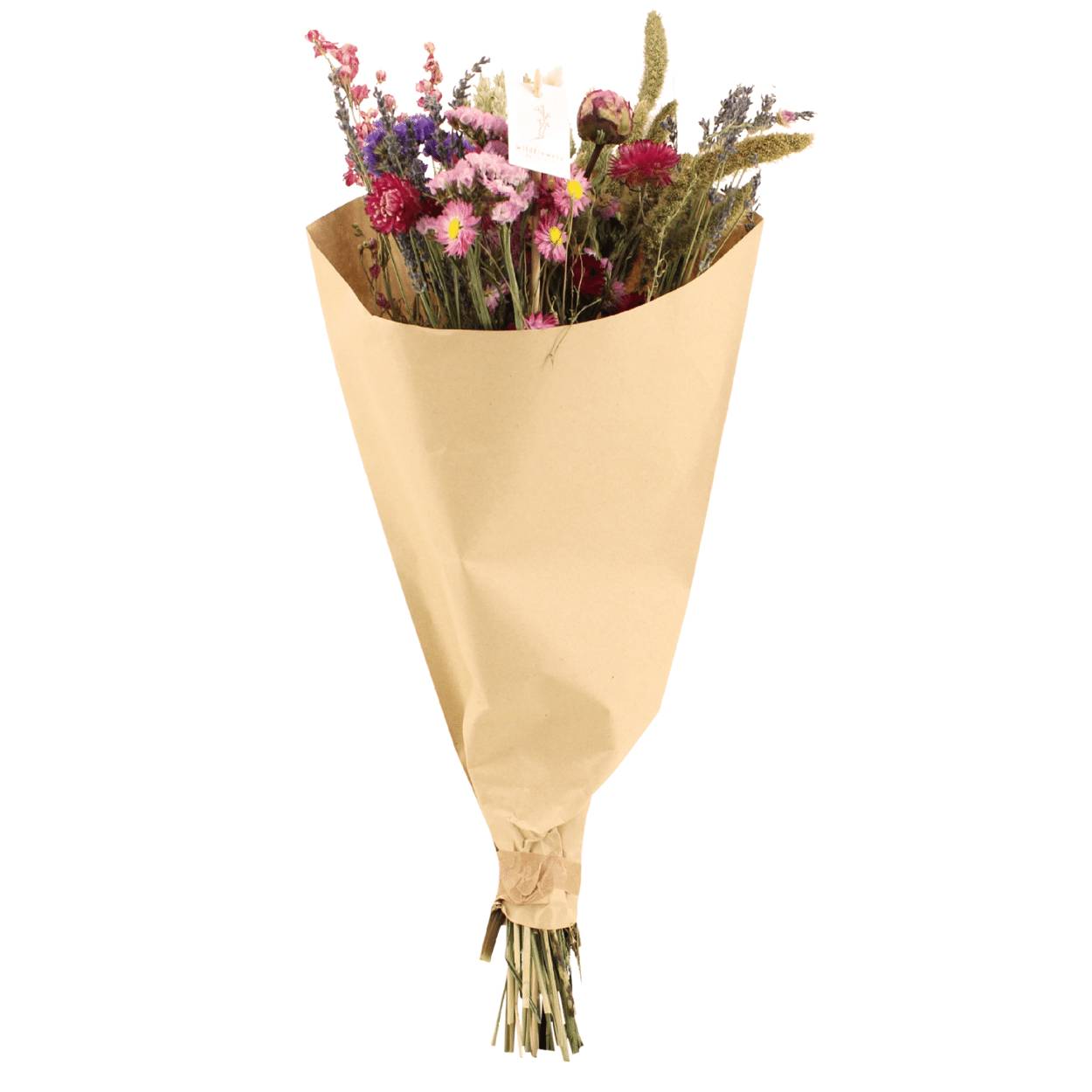 PANGIVO - Bouquet de fleurs séchées rose 25 x 25 x 60 cm - PANGIVO - Image 1