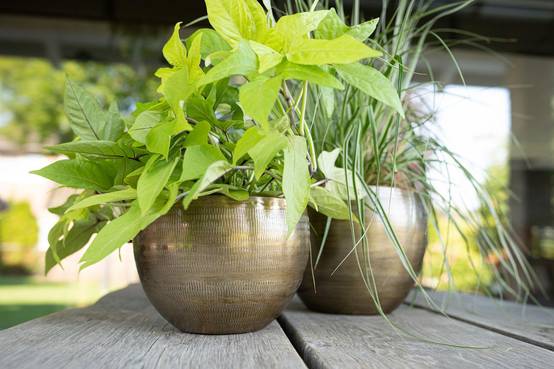 Set 5 pots en aluminium Rowen doré- La Green Touch - Image 3
