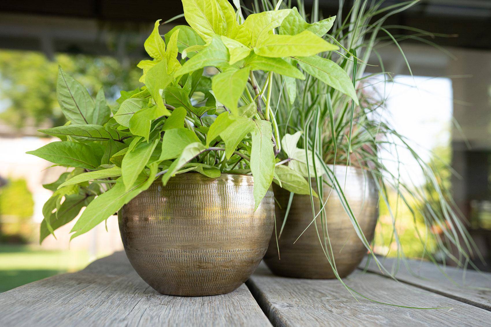 Set 5 pots en aluminium Rowen doré- La Green Touch - Image 3