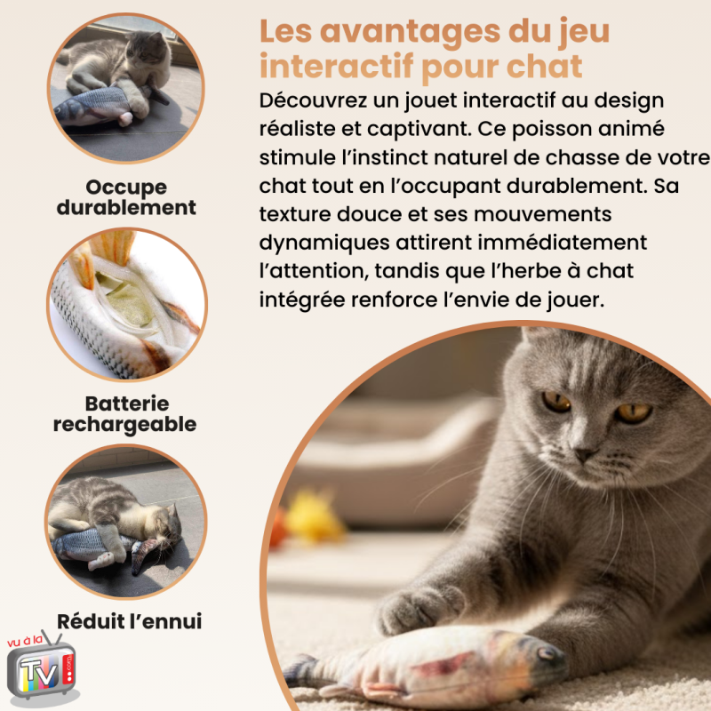 Jouet chat | Jouet pour chat interactif à mouvement automatique- VENTEO - Image 3