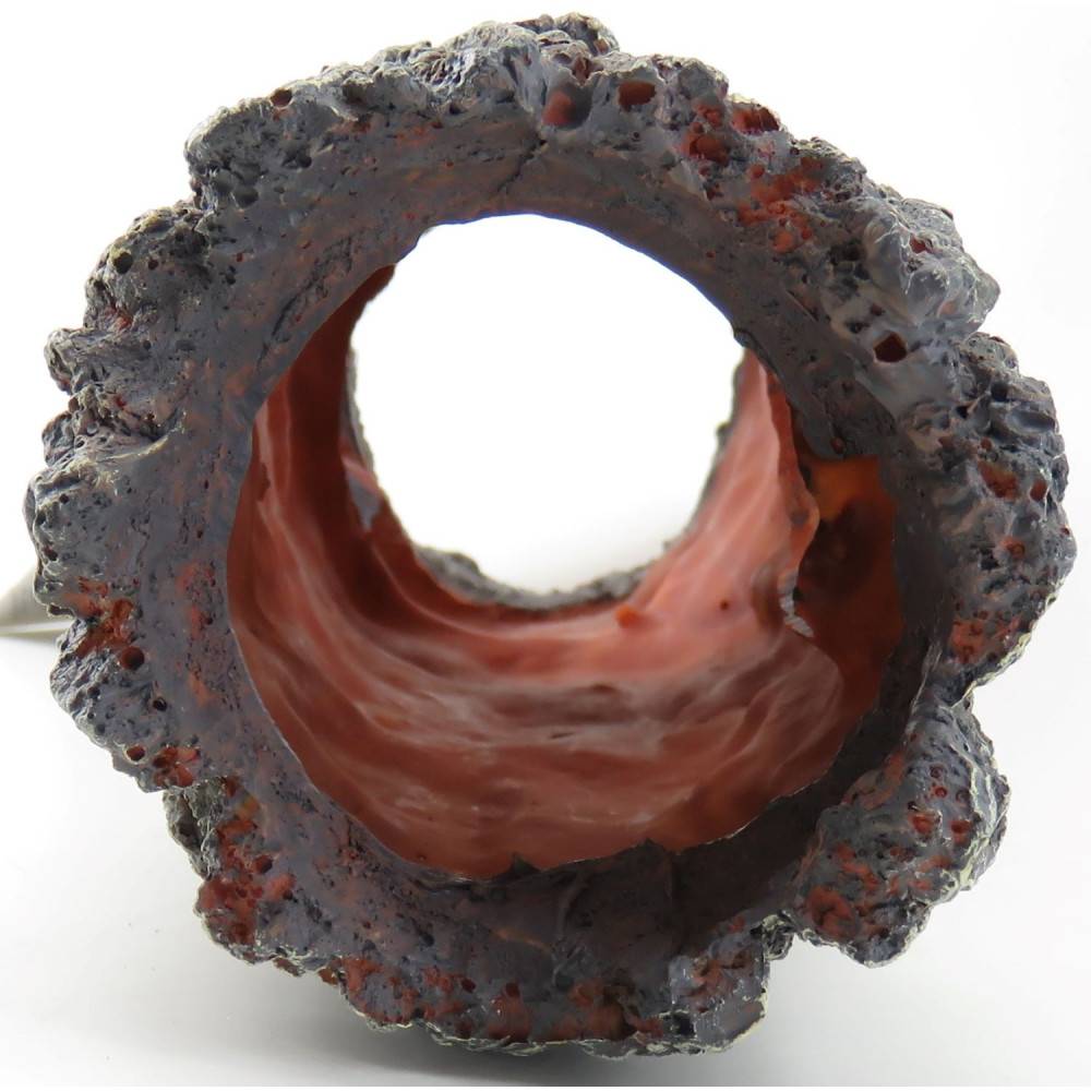 Souche tronc d'arbre creux ø 8 x 30 cm décoration aquarium - Imagen 2