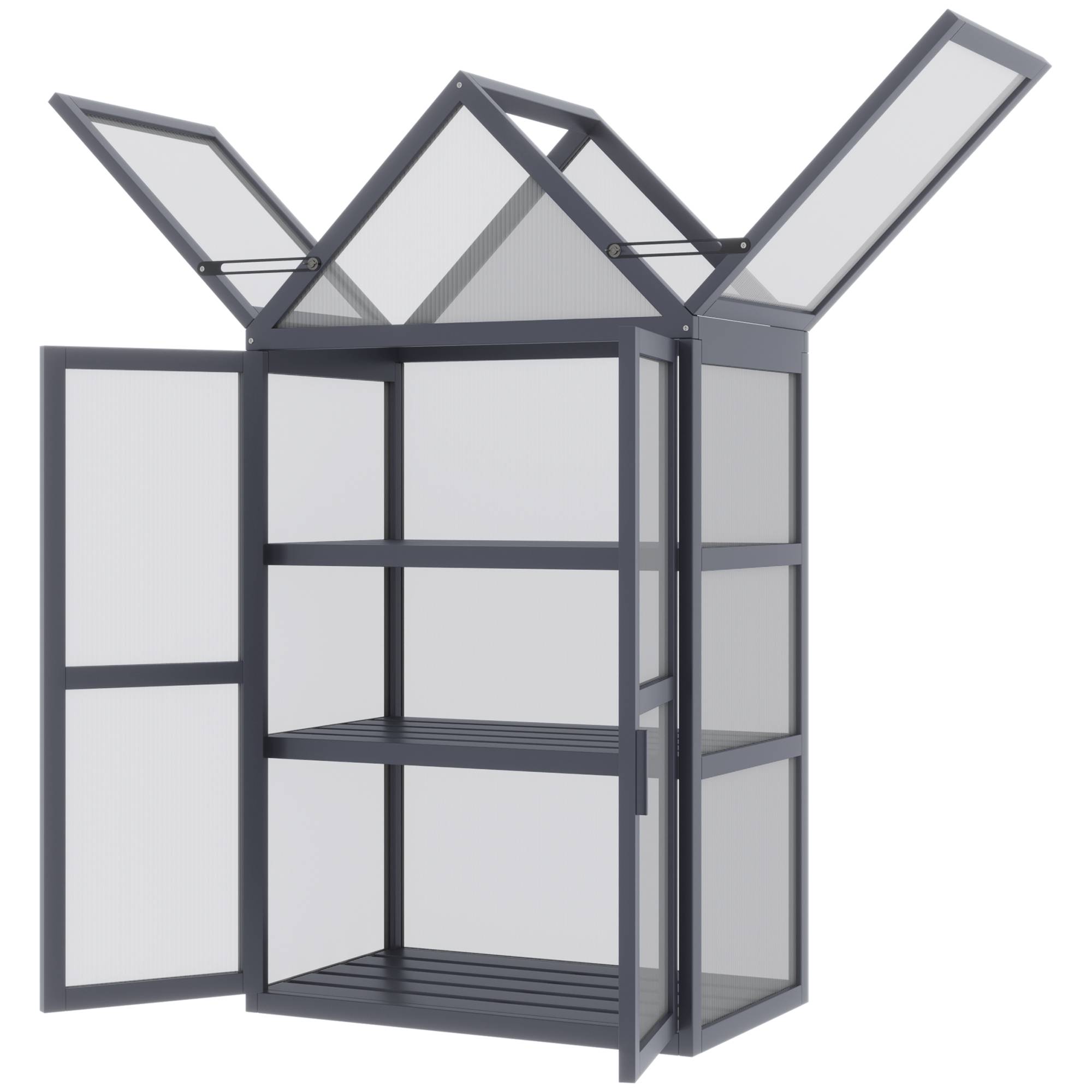 Sans Marque - Mini-serre châssis froid 3 niveaux toit charnières bois polycarbonate 70,5x42x132,Sans Marque - Image 2