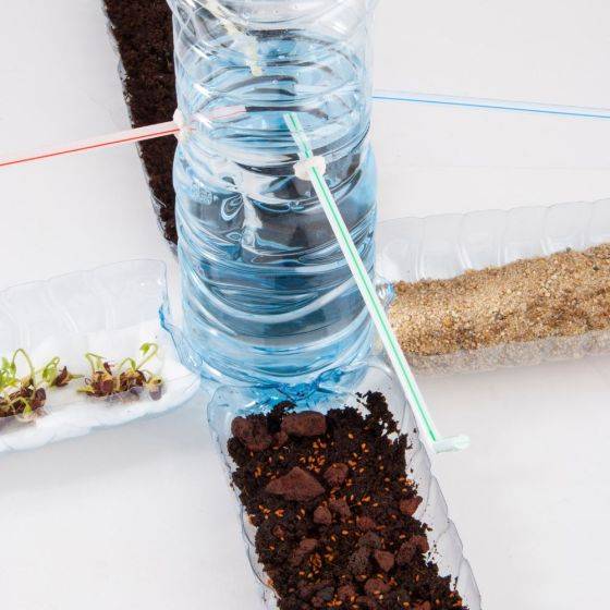 Radis et Capucine - Radis et Capucine - Kit d'activité : Je recycle mes bouteilles d'eau au jardin - Imagen 2