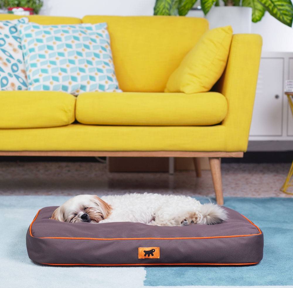 Ferplast - FERPLAST Panier Chien Chat - Coussin Orthopédique Chien - Lavable en Machine - Tapis Chien - Lit Chat Chien - Imperméable & Anti-Rayures - Rembourrage - Imagen 3