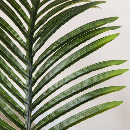 ComfortXL - Palmier Areca Artificiel PE Pour Maison Bureau Décoration Sans Souci 170cm Vert - ComfortXL Outdoor Living - Image 10