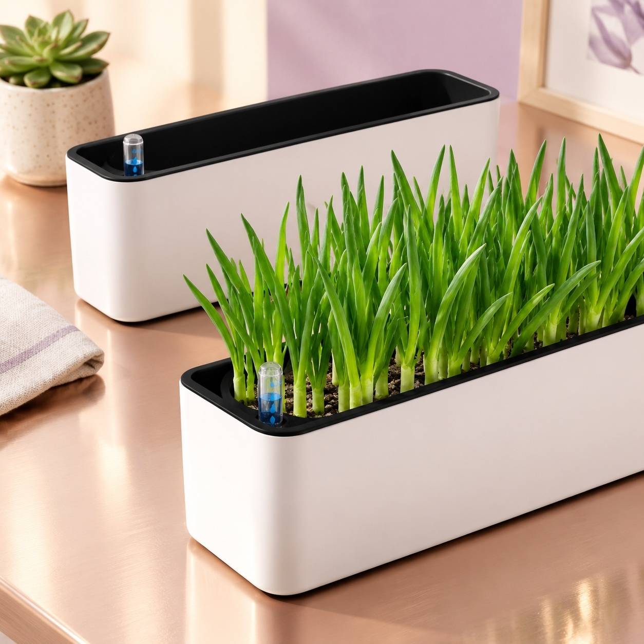 Lot de 2 Pots de Fleurs Auto-arrosants Rectangulaire Indicateur Niveau Eau pour Plantes Intérieures - Image 6