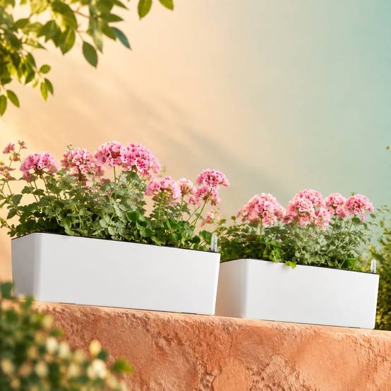Lot de 2 Pots de Fleurs Auto-arrosants Rectangulaire Indicateur Niveau Eau pour Plantes Intérieures - Image 7