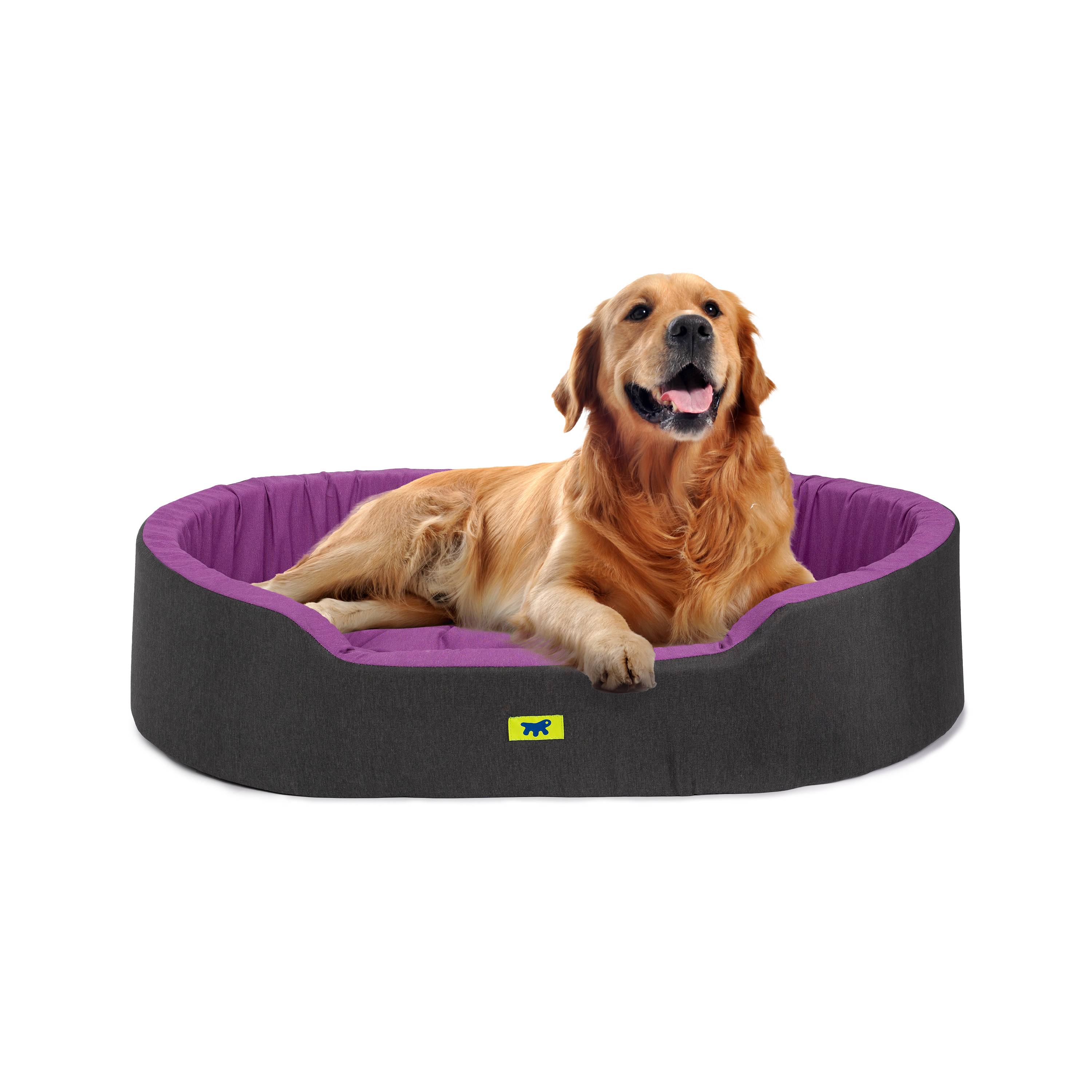 Ferplast - Ferplast Panier Chien Dandy, Coussin Amovible et Lavable, Housse en Coton avec Rembourrage Doux, Lit Chiens Moyen, 95 x 60 x H 21 cm, Violet - Imagen 4